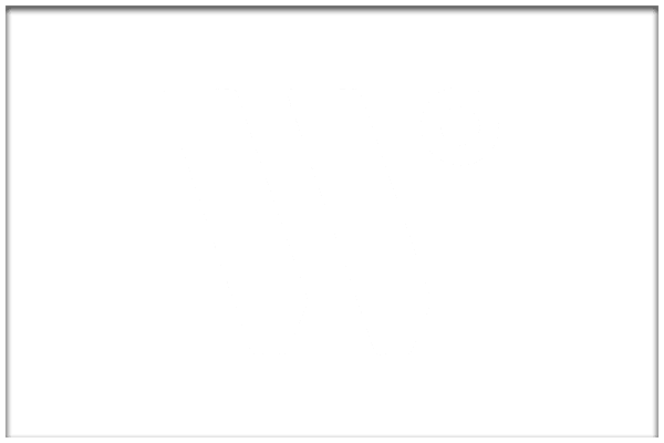 wo